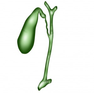 Gall bladder