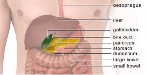 gall_bladder1